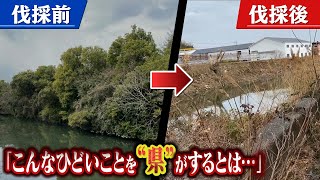 【景色が激変】『こんなひどいことを県がするとは』80年間あった憩いの場が突然...説明なしの"樹木伐採"　県は「工事ではなく維持管理だから説明義務ない」【徹底取材憤マン】（2022年6月27日）