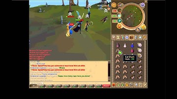 runescape legacy mode-chaotic maul pking
