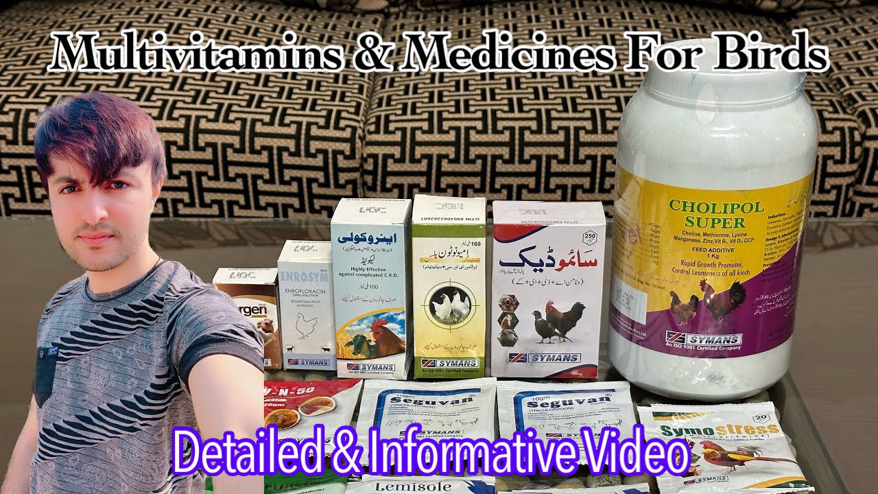 Multivitamins & Medicines For Birds YouTube