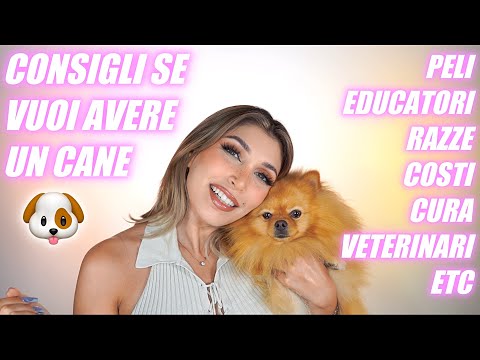 Video: 7 suggerimenti verificati per i proprietari che affittano ai genitori di animali domestici