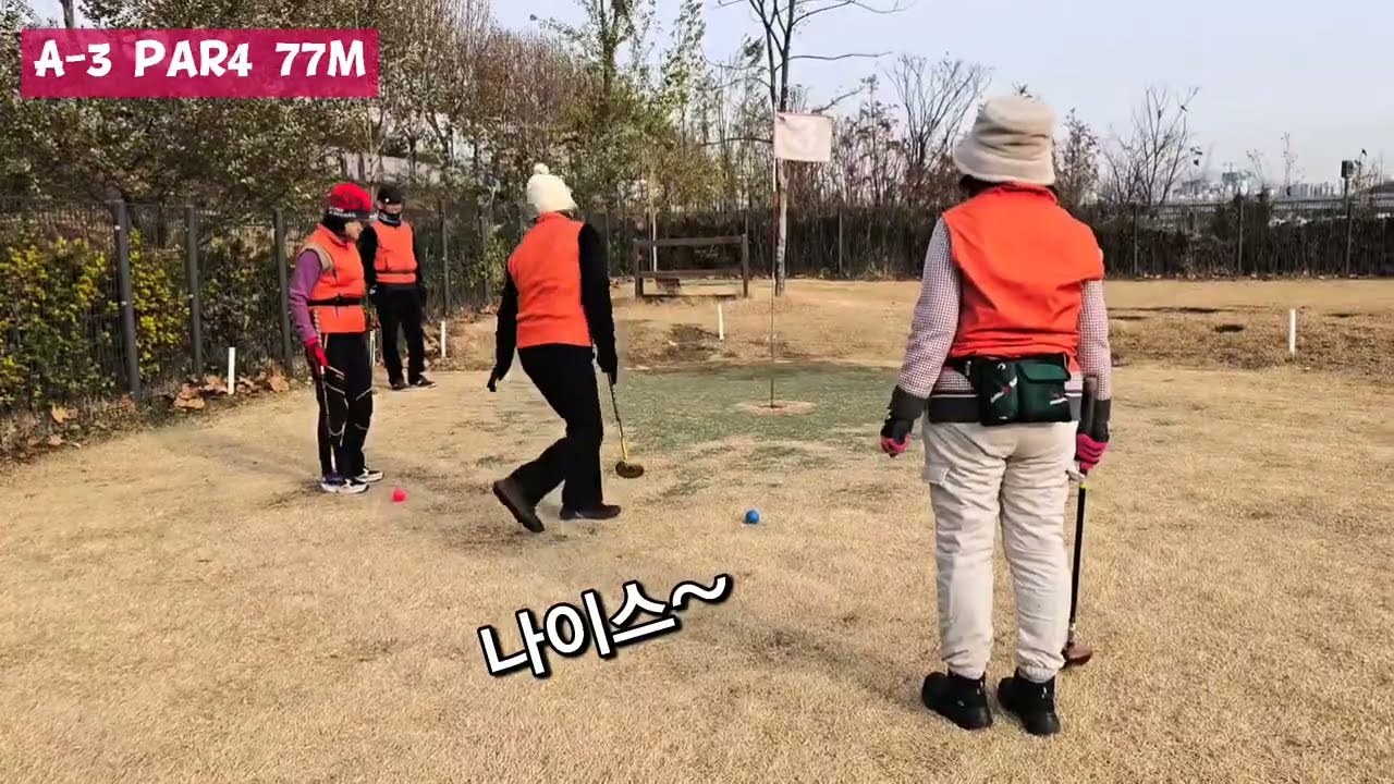 안양천 18홀 파크골프장 이글스클럽 송년 정모 라운드