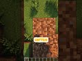 DINGE in Minecraft die fast JEDER GEMACHT hat #shorts