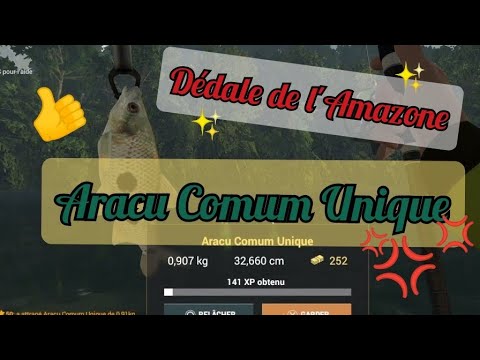 BRESIL - ARACU COMUM UNIQUE - DEDALE DE L`AMAZONE