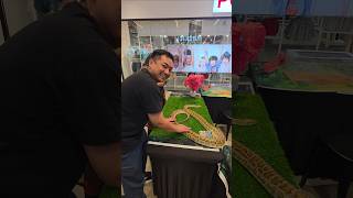 Comel2 haiwan dekat Nature Discovery Fest! #animal #snake #reptiles #haiwan #cute #nature #comel