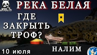🌟РЕКА БЕЛАЯ 🌟 ТРОФЕЙ НАЛИМ🌟Русская Рыбалка 4 (РР4)🌟