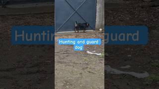 Nothing Goes Past Her