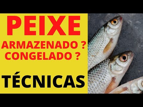 Vídeo: Peixe fresco é congelado?