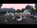 Деревенские будни // День из жизни.