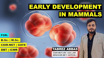 EARLY DEVELOPMENT IN MAMMALS || DEVELOPMENT BIOLOGY || CSIR/UGC-NET, GATE(XL), MSC, BSC, DBT ||