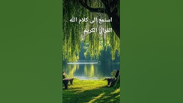 قران كريم #duet #video #اكسبلور #المصحف #explore #لايك #الرحمن #quran #دويتو