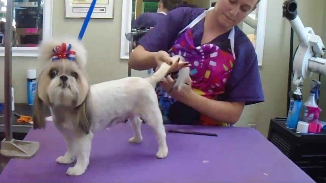 Riverside Grooming September 2017 YouTube