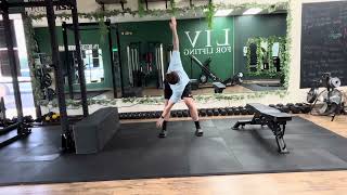 Windmills (hamstring stretch with thoracic rotation)