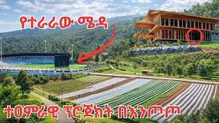 One of Addis Ababa’s Most Refreshing Places 🌲 | Entoto Park Tour