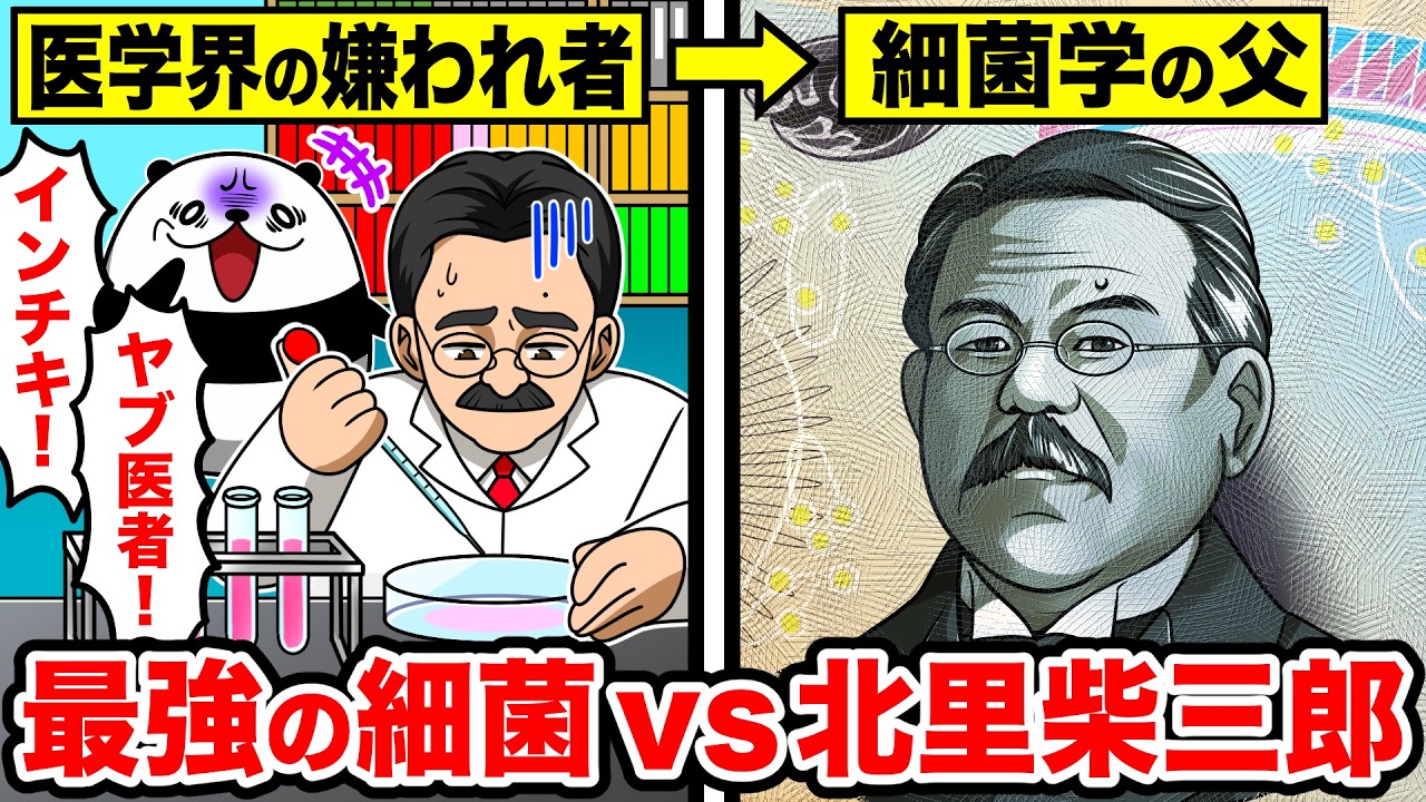 【細菌学の父】最強の細菌から日本を救った北里柴三郎の生涯とは【アニメ】