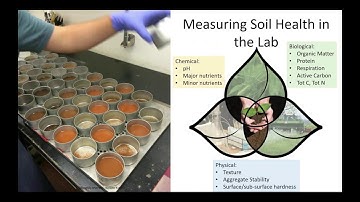 Kirsten Kurtz: Soil Health - A holistic approach to managing soil for resilience