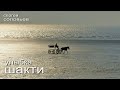 Сергей Соловьев. Улыбка Шакти. Аудиокнига. Часть 4