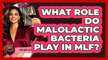What Role Do Malolactic Bacteria Play In MLF? - Fine Wine Facts