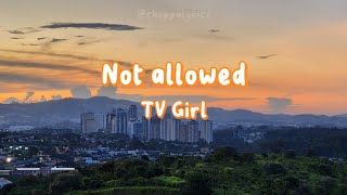 Not allowed - TV Girl [Lyrics]