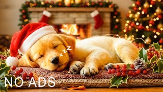 Sleep Music For Dogs And Puppies 🐶🎅 Music Relax Dogs Within 5 Minutes 🐶🎵#dogmusic #catmusic