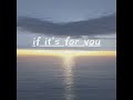 k.s. - if it's for you feat.Megpoid