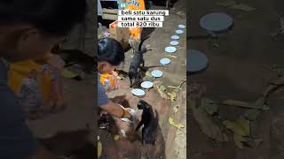 Alhamdulillah education