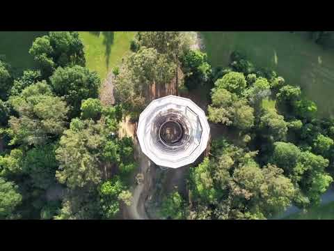 Beyond the Trees