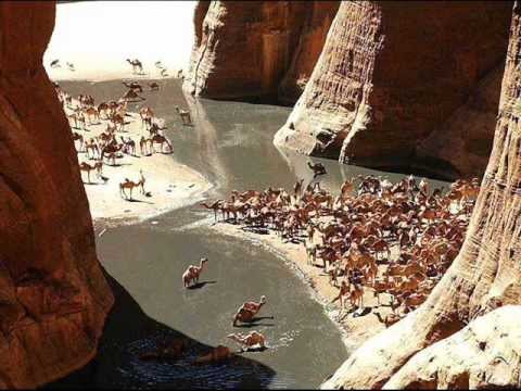 مترك بالله يا اهل الهجن