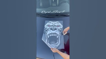 #stickercar #carstickers #customdecals #stickers #calcomanias #decals #viralvideo #dallastx #romania