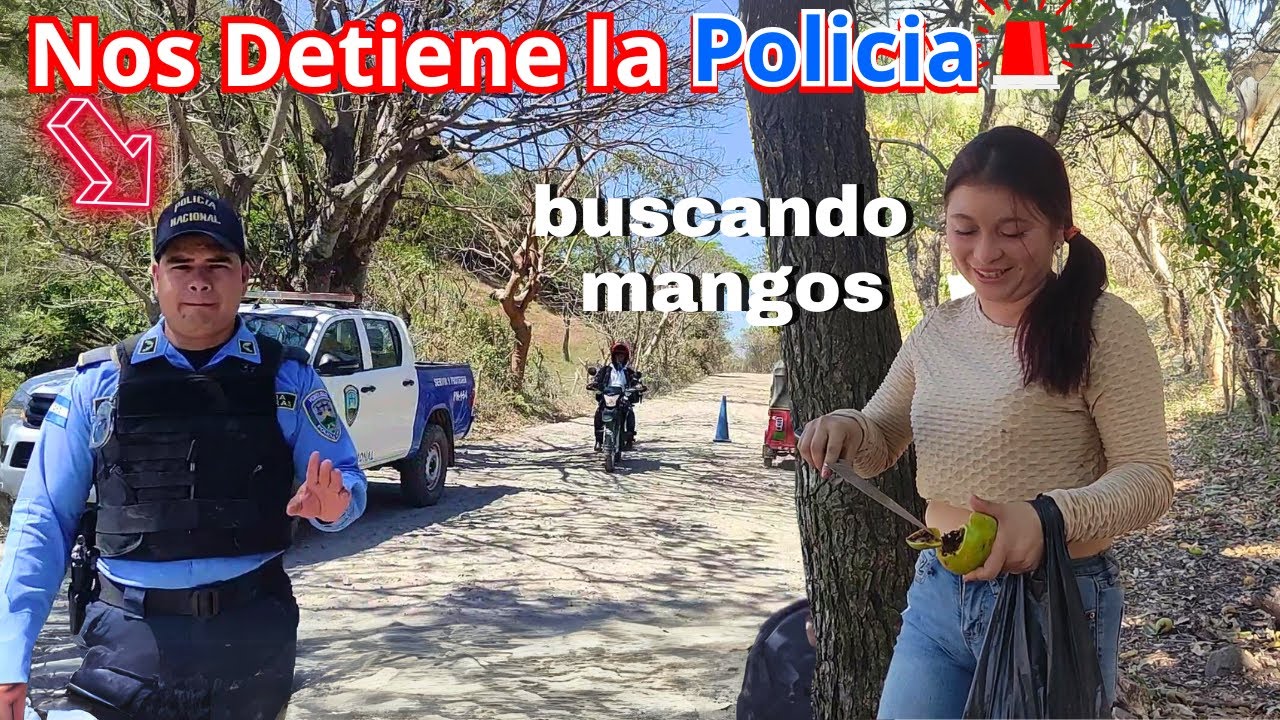 Policía estaba haciendo un Operativo😲🚨 | Solo mangos gusanosos habían 😅