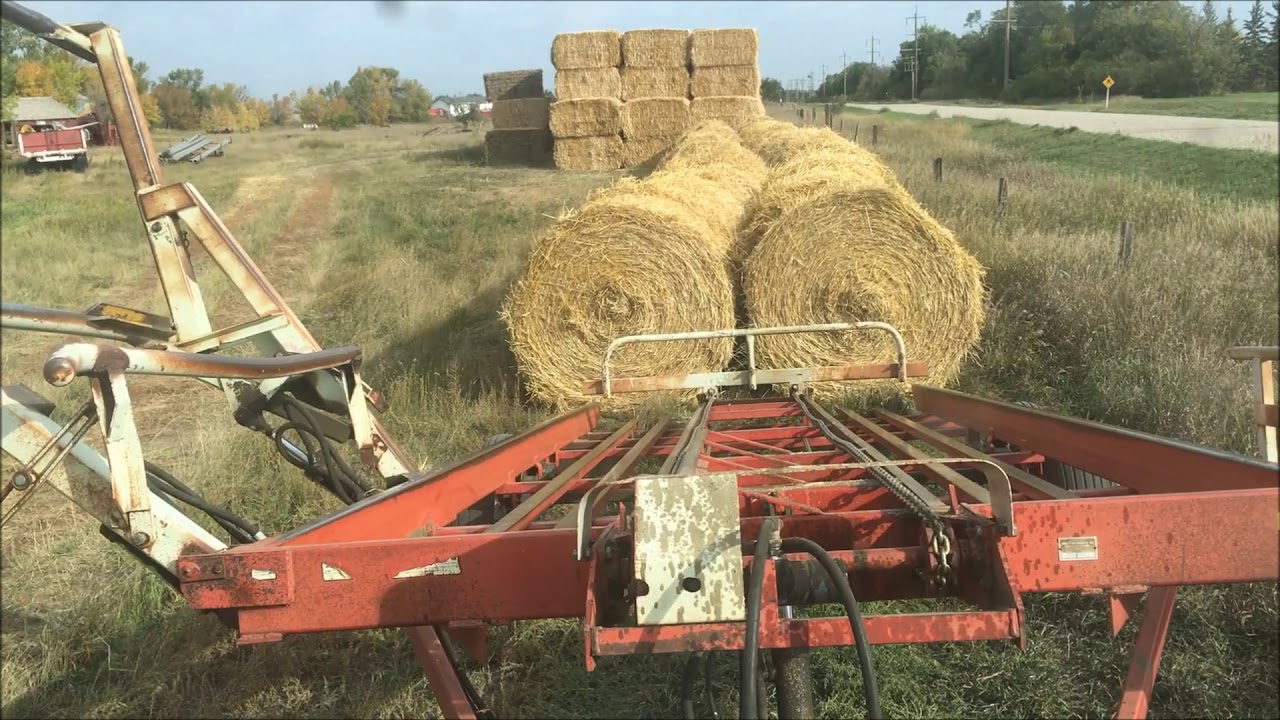 Hauling Barley straw - YouTube