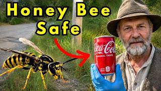 The Old German Method That Kills Wasps & Yellowjackets, Not Honey Bees!