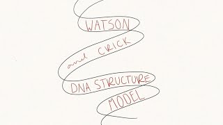 Exam Mini Video 4: Watson and Crick DNA Structure