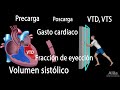 Gasto cardíaco, Volumen sistólico, VTD, VTS, Fracción de eyección, Animación