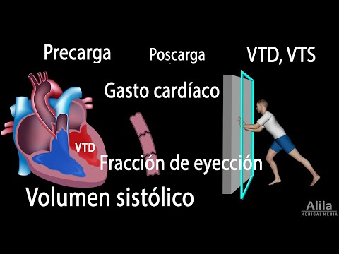 Video: ¿La vasodilatación afecta la precarga o la poscarga?