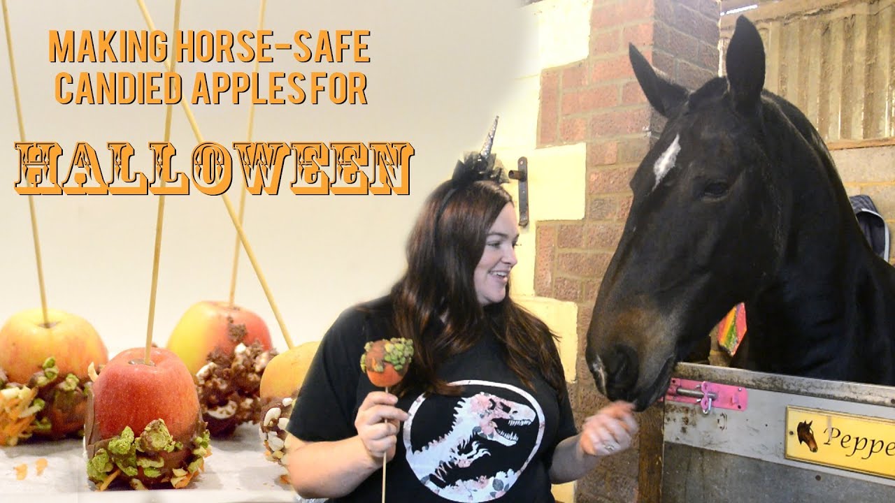 Making horsesafe candied apples [Halloween horse vlog] YouTube