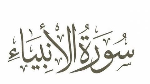 من أجمل التلاوات سورة الأنبياء كاملة 🌹#تلاوة_هادئة #القرآن_الكريم #سورة_البقرة #shortvideo #اكسبلور