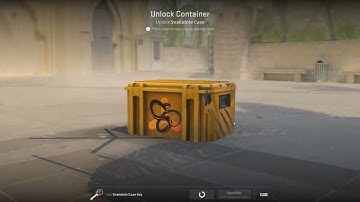 Opening CS2 Cases Everyday Until I Open A Gold Day 7