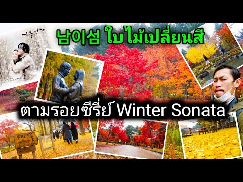 남이섬/เที่ยว เกาะนามิ ใบไม้เปลี่ยนสี ( Part 3/3 )_ตามรอยซีรี่ย์ WINTER SONATA  2020 )_[ E9 Trip ]