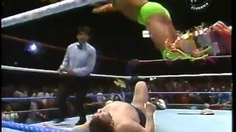 Andre The Giant vs. The Ultimate Warrior 1989