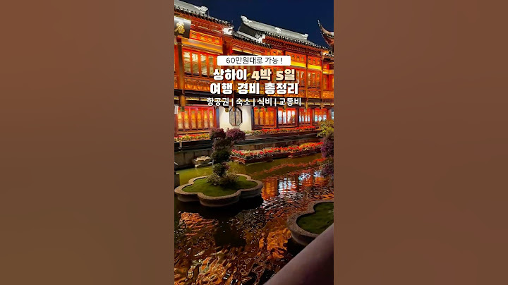 60만원으로 충분! 상하이 여행 경비 총정리✈️