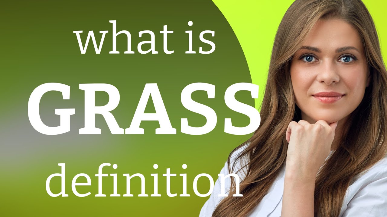 grass meaning essay