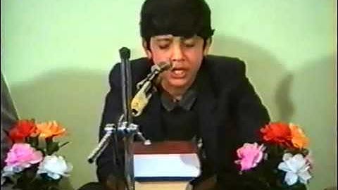 سوره التکویر سبک سعید مسلم Javad Foroughi جواد فروغی
