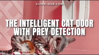 Pawly Door : The Intelligent Cat Door With Prey Detection | Kickstarter | Gizmo-Hub.com