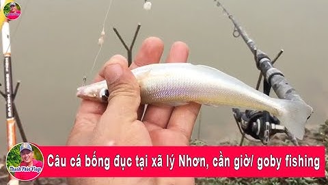 Câu cá bống đục tại xã lý Nhơn, cần giờ/ goby fishing  | Thanh Phúc Vlogs