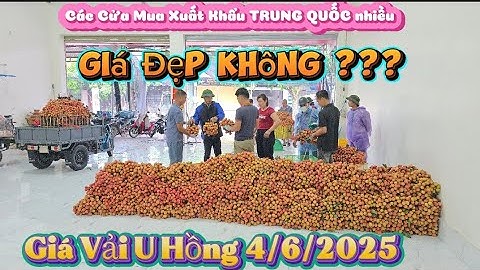 TRỜI MƯA TO CHỢ VẢI LỤC NGẠN ĐẦU MÙA VẪN TẤP NẬP GIÁ  CAO CHÓT VÓT I NÚI ĐỒI LỤC NGẠN