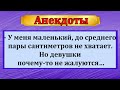 Что лучше большой или маленький?    Подборка весёлых анекдотов на разные жизненные темы!