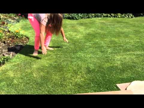 "Eat Sleep Rave Repeat (Calvin Harris Remix) [feat. Beardyman]" Fan Video