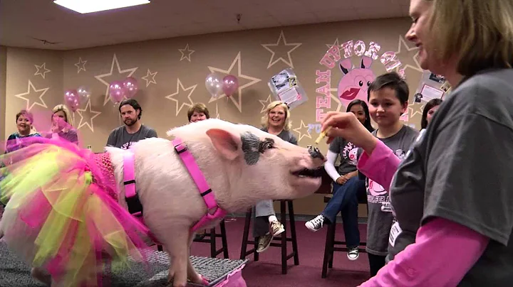 Garland ISD: Pucker For a Pig - Abbett Elementary