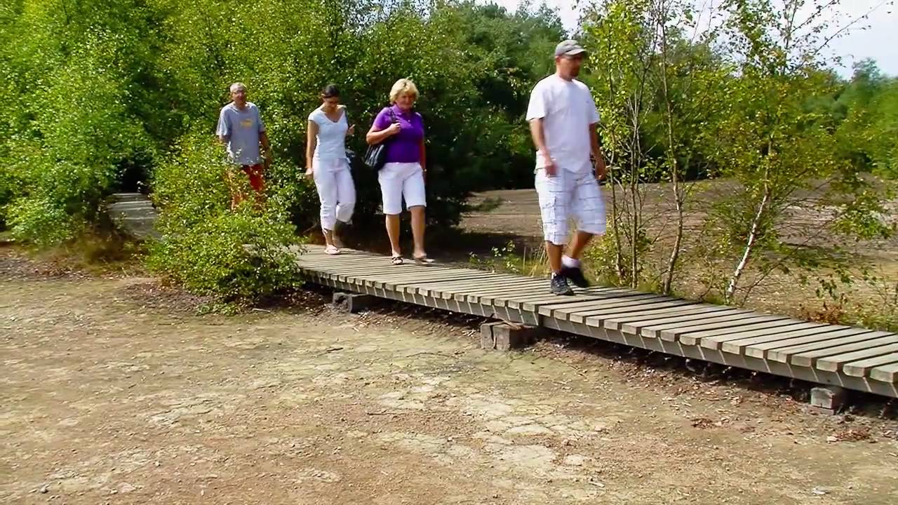 Přírodní rezervace SOOS u Františkových Lázní