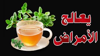 فوائد الزعتر اشرب شاي الزعتر و لا ترتكب الخطأ الذي يرتكبه الناس عند شرب الزعتر !